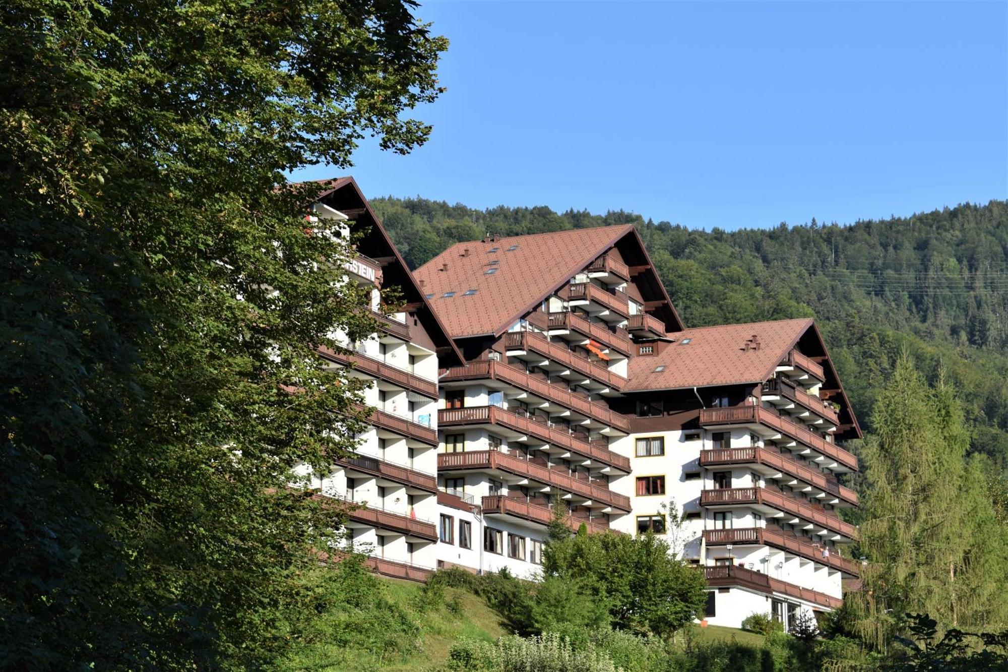 Apartment D 'Freizeit Bad Goisern Exterior photo